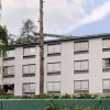 Honeymoon Inn