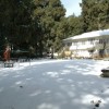 Carlton Plaisance
