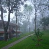 Green Woods Resort