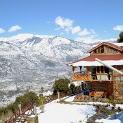 Himalayan Kothi Kais
