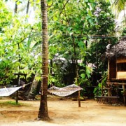 Shiva Garden Homestay