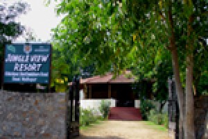 Jungle View Resort