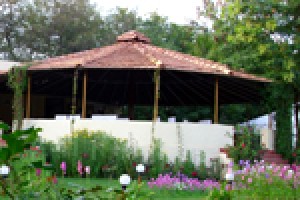 Jungle View Resort