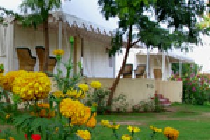 Jungle View Resort