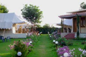 Jungle View Resort