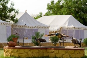 Tents at the resort