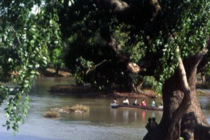Ambatty Green Resort and Spa
