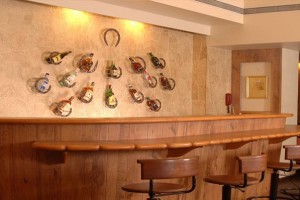 Hotel Woodland