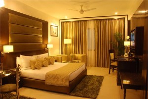 Hotel Shanti Palace Hotel Shanti Palace