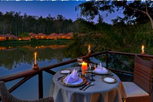 Candlelight Dinner Candlelight Dinner