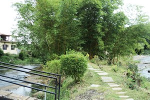 Cauvery Sannidhi for Indian Culture Cauvery Sannidhi for Indian Culture