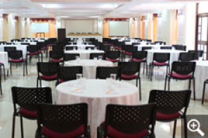 Usha Ascot
