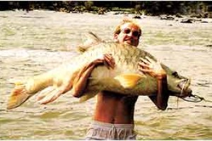 Bushbetta