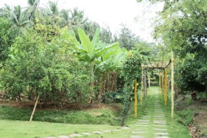 Cauvery Sannidhi for Indian Culture Cauvery Sannidhi for Indian Culture