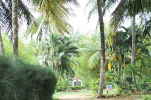 Cauvery Sannidhi for Indian Culture Cauvery Sannidhi for Indian Culture
