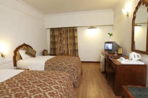 Hotel Jaipur Ashok Hotel Jaipur Ashok