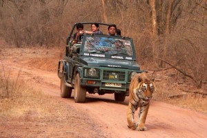 Abrar Palace and Jungle Camps Abrar Palace and Jungle Camps