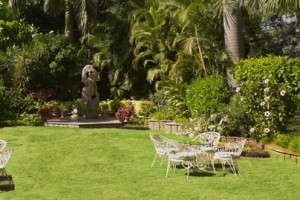 Hotel Hillock
