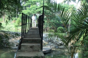 Cauvery Sannidhi for Indian Culture Cauvery Sannidhi for Indian Culture