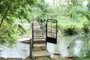 Cauvery Sannidhi for Indian Culture Cauvery Sannidhi for Indian Culture