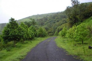 Sai Farms and Holiday Resort