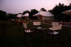 Abrar Palace and Jungle Camps Abrar Palace and Jungle Camps