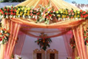 Usha Ascot