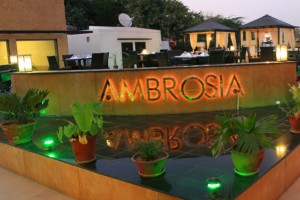 The Ambassador