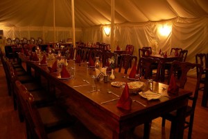 Abrar Palace and Jungle Camps Abrar Palace and Jungle Camps