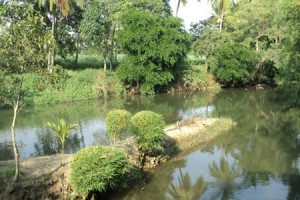 Cauvery Sannidhi for Indian Culture Cauvery Sannidhi for Indian Culture