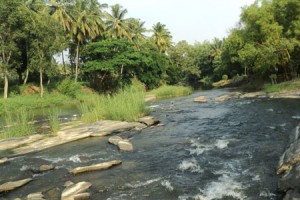 Cauvery Sannidhi for Indian Culture Cauvery Sannidhi for Indian Culture