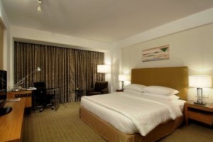 Radisson Hotel