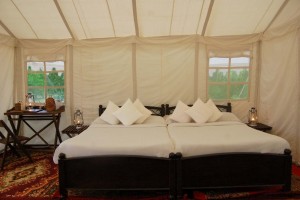 Abrar Palace and Jungle Camps Abrar Palace and Jungle Camps