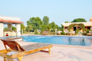 Sariska Tiger Camp