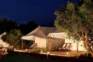 Abrar Palace and Jungle Camps Abrar Palace and Jungle Camps