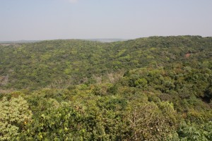 Canopy Machan Canopy Machan