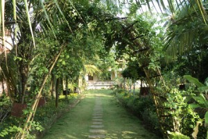 Cauvery Sannidhi for Indian Culture Cauvery Sannidhi for Indian Culture