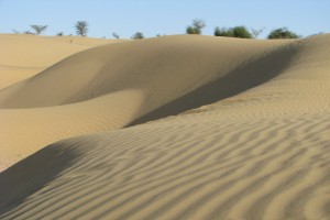 Sand dunes surrounding the resort