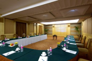 Aravalli Meeting Room Aravalli Meeting Room