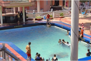 Swimming pool Swimming pool