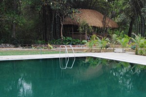 Pool view2