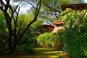 Lawn Lawn