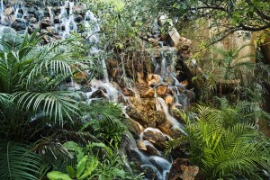 Little waterfall Little waterfall