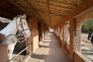 Horse stable