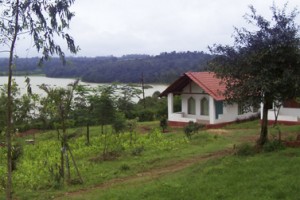 Accomodation