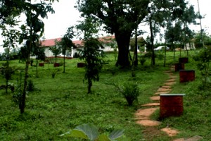 Natural view 1
