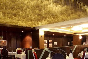 Sarangi restaurant
