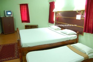 Deluxe cottage-bedroom