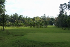 Golf-course Golf-course