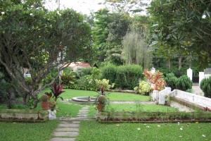 Garden2